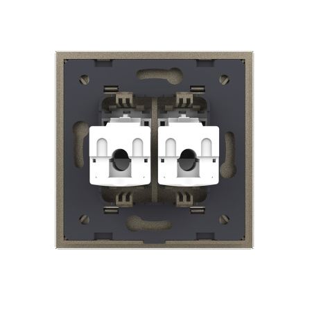 Розетка интернет двойная RJ-45 кат.6 1 пост, цвет шампань Livolo