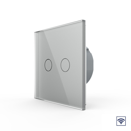 Сенсорный радиоуправляемый выключатель 2 клавиши 1 пост Серый Livolo