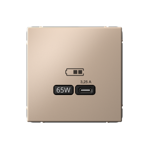 ARTGALLERY USB РОЗЕТКА тип-С 65Вт высокоскор.заряд. QC, PD, механизм, ПЕСОЧНЫЙ Systeme Electric