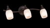 Светильник спот 3*E14 40Вт Коричневый IP20 Margaret SP563-CW-03-R Maytoni