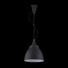 Подвесной светильник 1*E27 60Вт Черный IP20 Bellevue P534PL-01B Maytoni