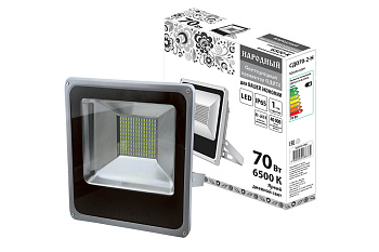Прожектор светодиодный СДО70-2-Н 70 Вт, 6500 К, серый TDM