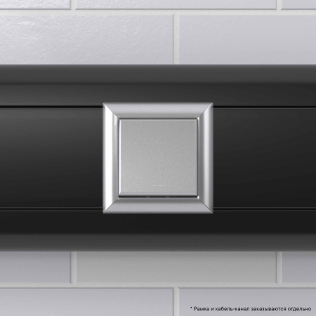 Кнопка одноклавишная модульная, "Avanti", "Закаленная сталь", 2 модуля DKC