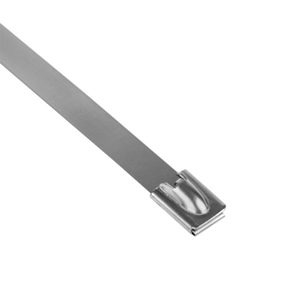 Хомут AISI 304 из нержавеющей стали, 7,9x200 (10 шт) FlexLock PROxima EKF