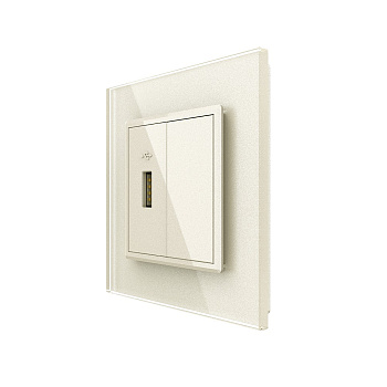 Розетка с одним USB type-A, блоком питания 5В 2.1А 1 пост, цвет жемчужный Livolo Розетка с одним USB type-A, блоком питания 5В 2.1А 1 пост, цвет жемчужный Livolo