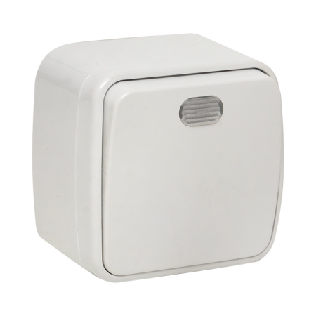 Минск Выключатель 1-клавишный ОП 10А с индикатором белый Basic EKF