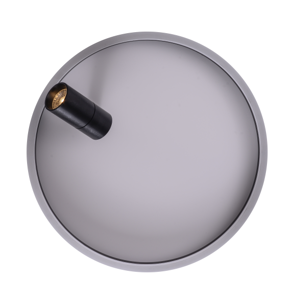 Светильник RAIZY ZRS.1888.03 29Вт 4000K IP20 Черный Zortes