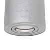 Потолочный светильник 1*GU10 50Вт Серебро IP20 Alfa C016CL-01S Technical