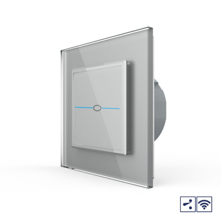 Сенсорный проходной радиоуправляемый выключатель Quadro 1 клавиша 1 пост Серый Livolo