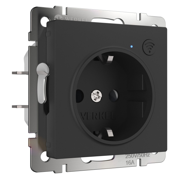 Умная встраиваемая розетка с заземлением с защитными шторками черная СУ IP20 Werkel