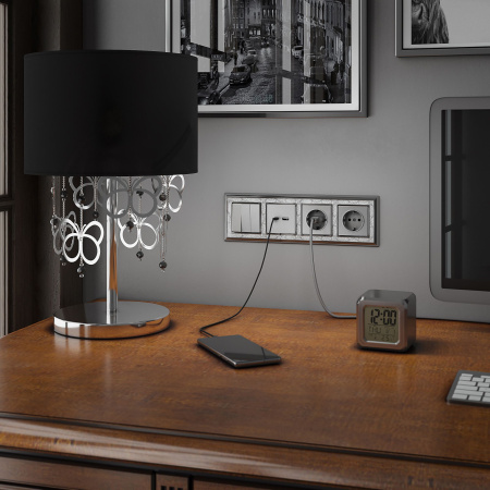 Розетка с заземлением, безвинтовой зажим (серебряный) СУ IP20 Werkel