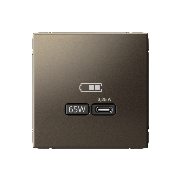ARTGALLERY USB РОЗЕТКА тип-С 65Вт высокоскор.заряд. QC, PD, механизм, МОККО Systeme Electric ARTGALLERY USB РОЗЕТКА тип-С 65Вт высокоскор.заряд. QC, PD, механизм, МОККО Systeme Electric
