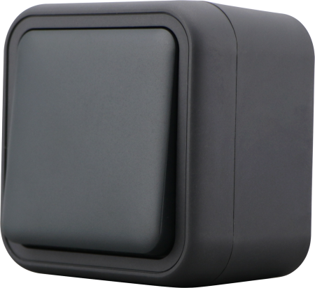 Donel W55 Выключатель звонкового типа 1-кл. накладной, антрацит, IP55, серия (тип) DIP55