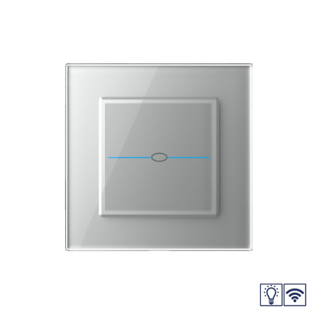 Сенсорный радиоуправляемый диммер Quadro 1 клавиша 1 пост Серый Livolo