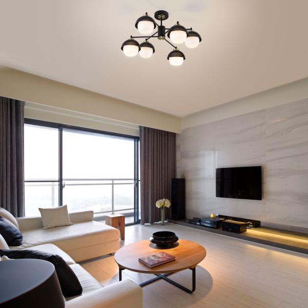 Потолочная люстра в стиле лофт 6*E27 60Вт черный IP20 Nocciola (70106/6 черный) Eurosvet