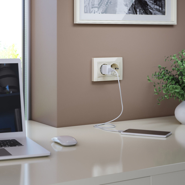 Snabb basic Рамка для двойной розетки (слоновая кость, basic) Werkel