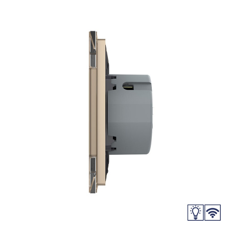 Сенсорный радиоуправляемый диммер Quadro 1 клавиша 1 пост Золотой Livolo