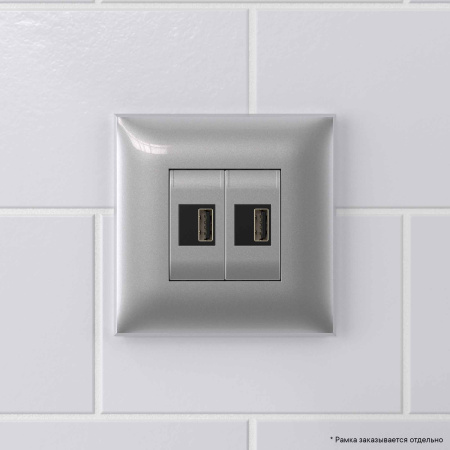 USB зарядное устройство в стену, "Avanti", "Закаленная сталь" DKC