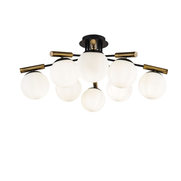 Потолочный светильник 8*E14 40Вт Черный IP20 Paolina FR5011CL-08B Freya