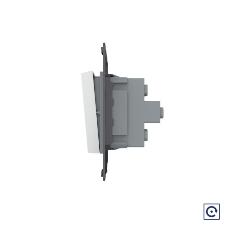 Двухклавишная механическая кнопка (звонок), цвет серый (механизм) Livolo