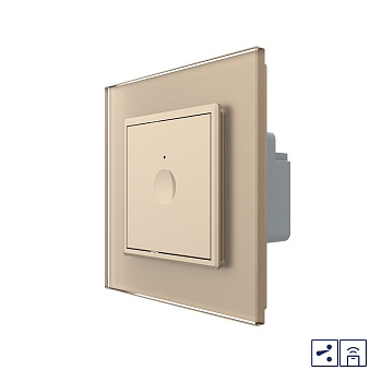 Одноклавишный проходной сенсорный выключатель Module с функцией радиоуправления, цвет золотой Livolo