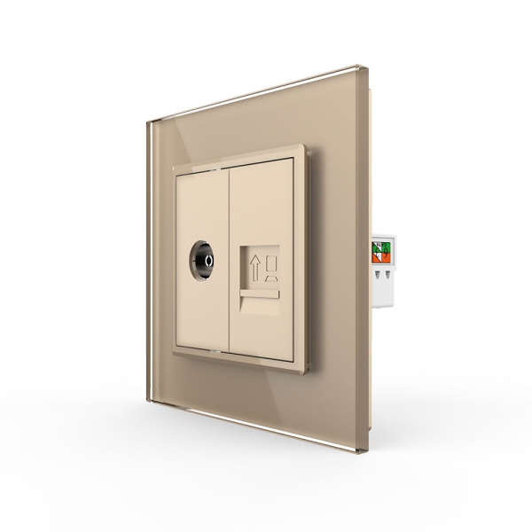 Розетка ТВ/КОМП RJ-45 Золотая Livolo