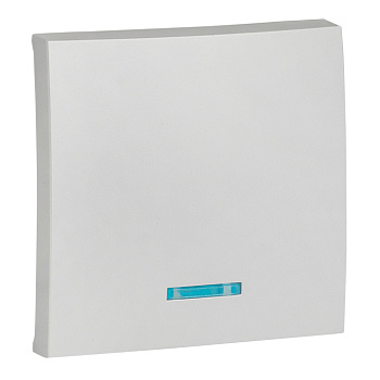 Валенсия Лицевая панель выключателя 1-кл, с индикатором 10А сталь EKF