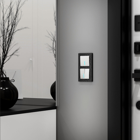 Hammer Рамка универсальная 2 пост . Черный IP20 Werkel