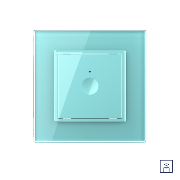 Одноклавишный сенсорный выключатель Module с функцией радиоуправления, цвет зеленый Livolo