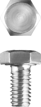 Болт ГОСТ 7798-70, M6 x 10 мм, 5 кг, кл. пр. 5.8, оцинкованный, ЗУБР