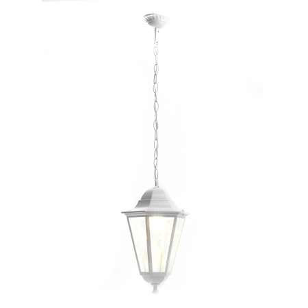 Светильник садово-парковый Feron 6205/PL6205 шестигранный на цепочке 100W E27 230V, белый