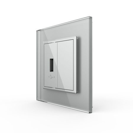 Розетка USB с блоком 5В 2.1А Серая Livolo