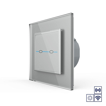 Сенсорный импульсный радиоуправляемый выключатель Quadro сухой контакт 2 клавиши Серый Livolo