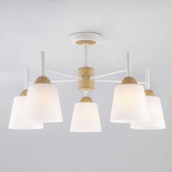 Потолочная люстра с плафонами 5*E27 60Вт белый IP20 Fresco (70085/5 белый) Eurosvet