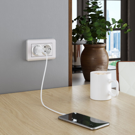 Встраиваемые механизмы Розетка СУ 2 мест. с зазем. 16А перламутр рифленый IP20 Werkel