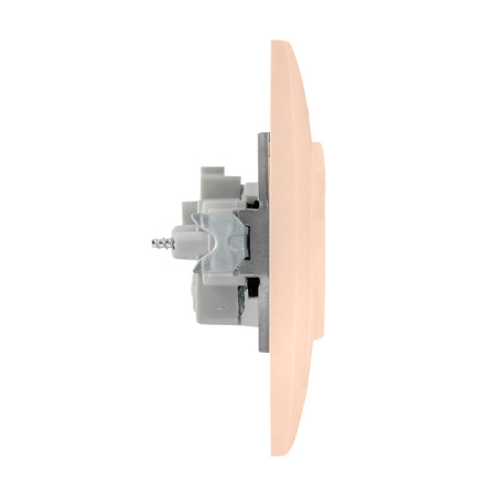 Валенсия Розетка 1-местная б/з 10А кремовая с защ, штор, EKF