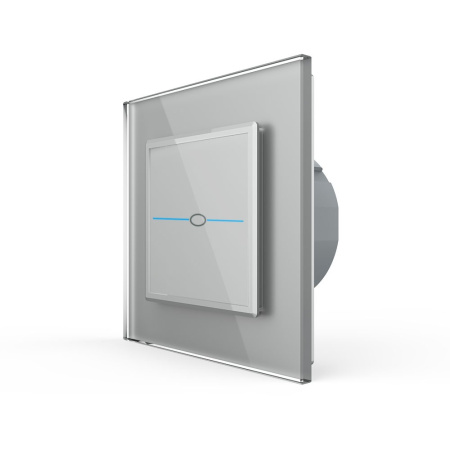 Сенсорный выключатель Quadro 1 клавиша 1 пост Серый Livolo