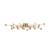 Потолочный светильник 24*G4 3Вт Латунь IP20 Celebrity FR5242CL-24BS Freya