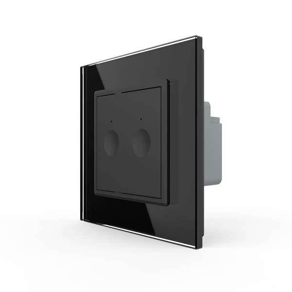 Двухклавишный сенсорный выключатель Module, цвет черный Livolo