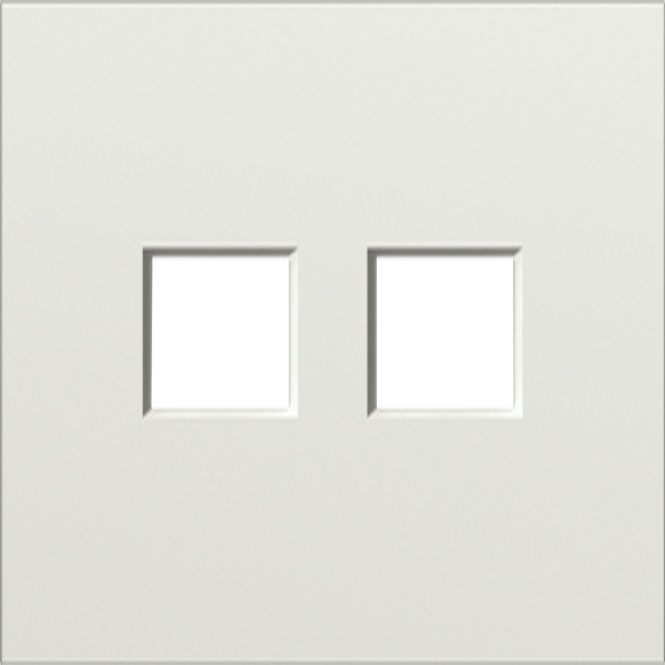 Donel S08 шампань накладка 2-я для розеток RJ45,TV,SAT, серия DB