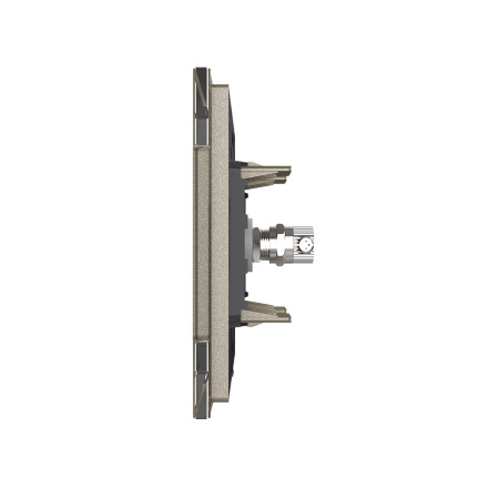 Розетка телевизионная одинарная 1 пост, цвет шампань Livolo