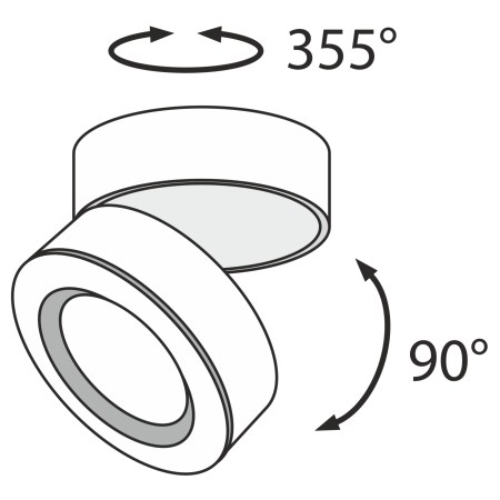 Потолочный светильник 20Вт 4000K Черный IP20 Treviso C023CL-L20B4K Technical