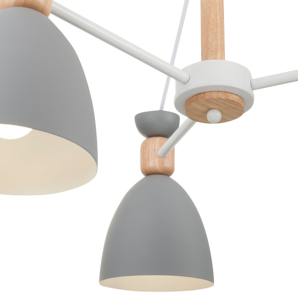 Потолочный светильник 5*E27 60Вт Белый IP20 Delia FR5033CL-05W Freya