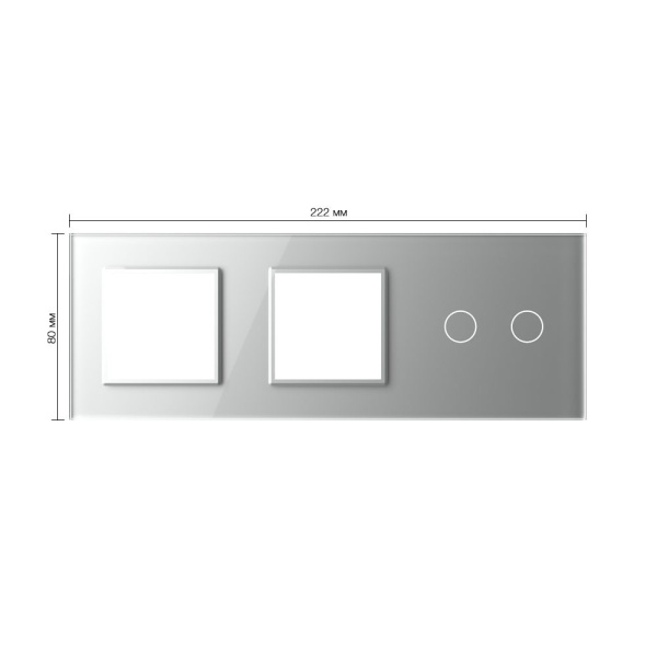 Панель для двух розеток и сенсорного выключателя, 2 клавиши, цвет серый, стекло Livolo