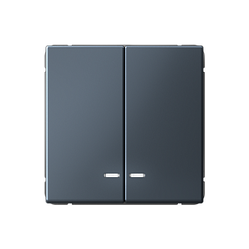 ARTGALLERY 2-клавишный ВЫКЛЮЧАТЕЛЬ с подсветкой, сх.5а, 10АХ, механизм, ГРИФЕЛЬ Systeme Electric