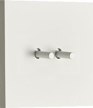 Donel N96 выключателя звонкового типа на 2 тумблера, Цилиндр, 10AX 250V, Белый, серия DT