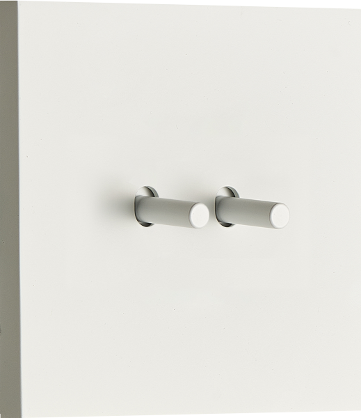 Donel N96 выключателя звонкового типа на 2 тумблера, Цилиндр, 10AX 250V, Белый, серия DT