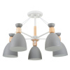 Потолочный светильник 5*E27 60Вт Белый IP20 Delia FR5033CL-05W Freya