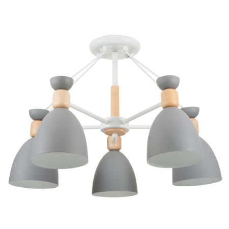 Потолочный светильник 5*E27 60Вт Белый IP20 Delia FR5033CL-05W Freya