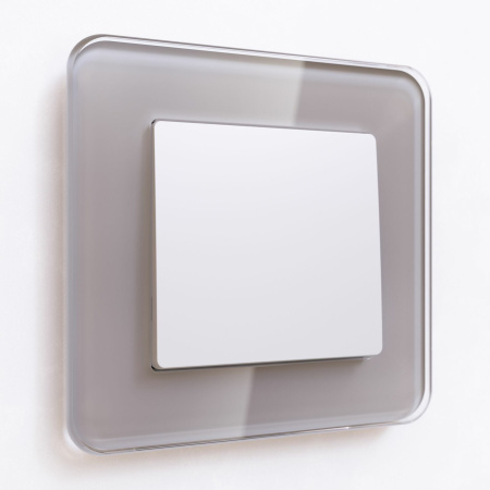 Выключатель одноклавишный (белый матовый) СУ IP20 Werkel